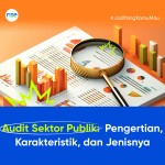 Audit Sektor Publik: Pengertian, Karakteristik, dan Jenisnya