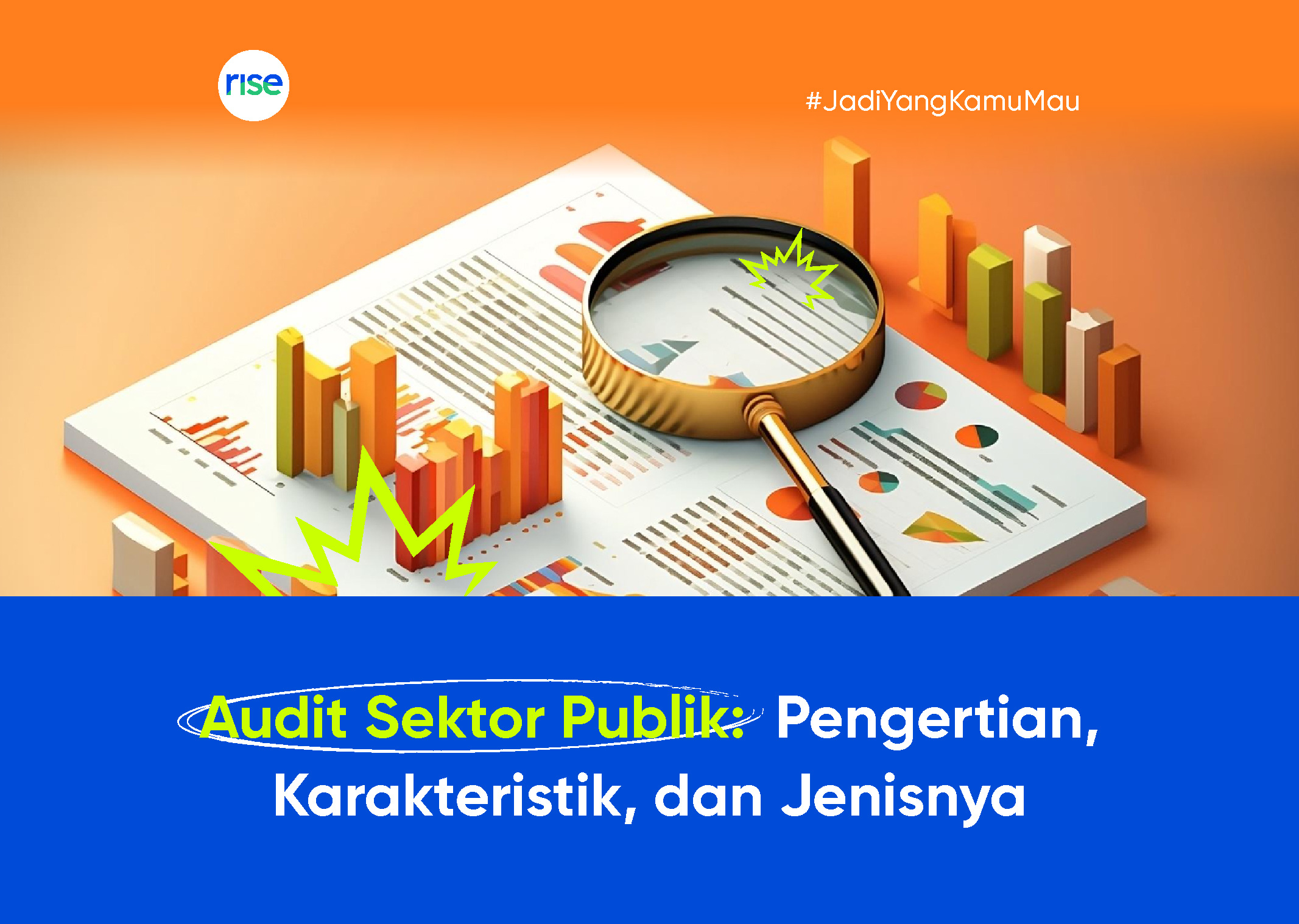 Audit Sektor Publik: Pengertian, Karakteristik, dan Jenisnya